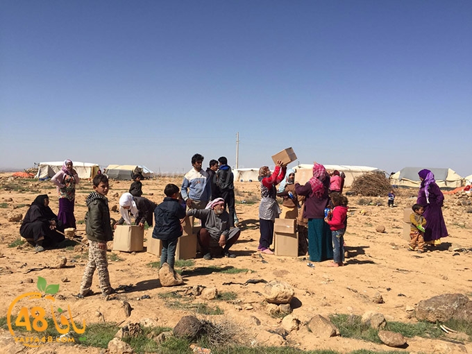 syrian torod (6).jpg